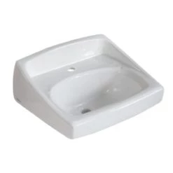 American Standard Lucerne 20-1/2" Wall Mounted Porcelain Bathroom Sink